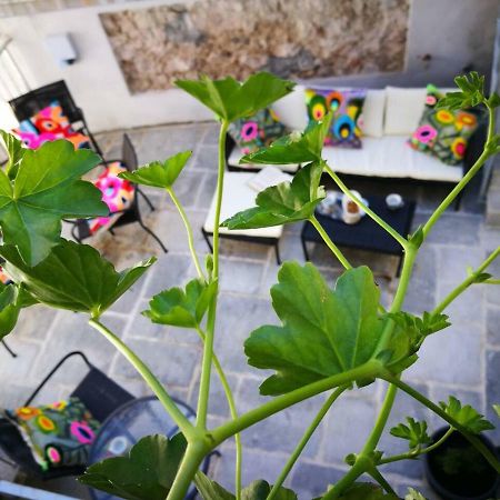 Cres Art Studio Lime Apartment מראה חיצוני תמונה