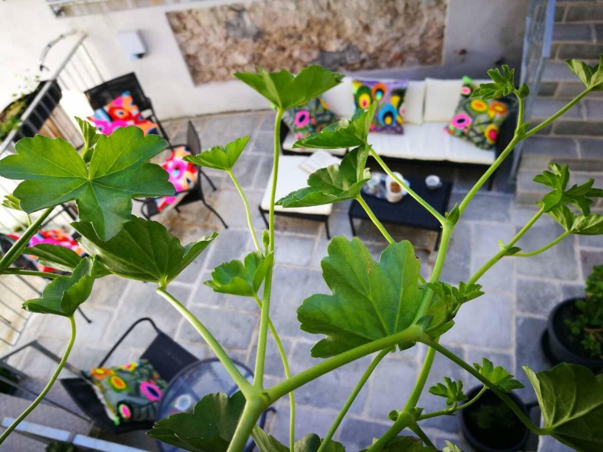 Cres Art Studio Lime Apartment מראה חיצוני תמונה